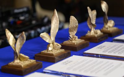 Call for Artists: 2026 Art Awards Design & Fabrication