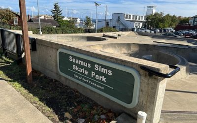 Skatepark Mural Project and Call for Artists