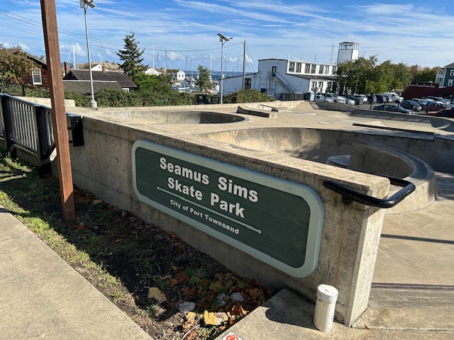 Skatepark Mural Project and Call for Artists